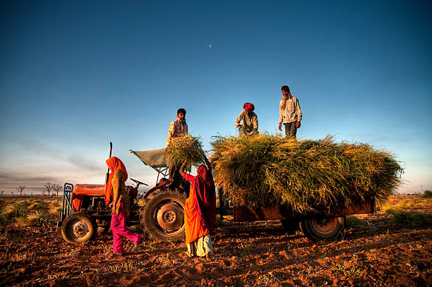 Farm sourcing network