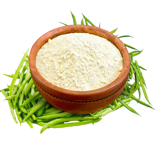 Premium Guar Gum powder exporter from India — food, industrial, and pharma grade